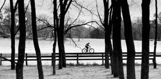 Photo by Ray Fesenmaier - Author Becky Fjelland Davis visible through a walnut grove.