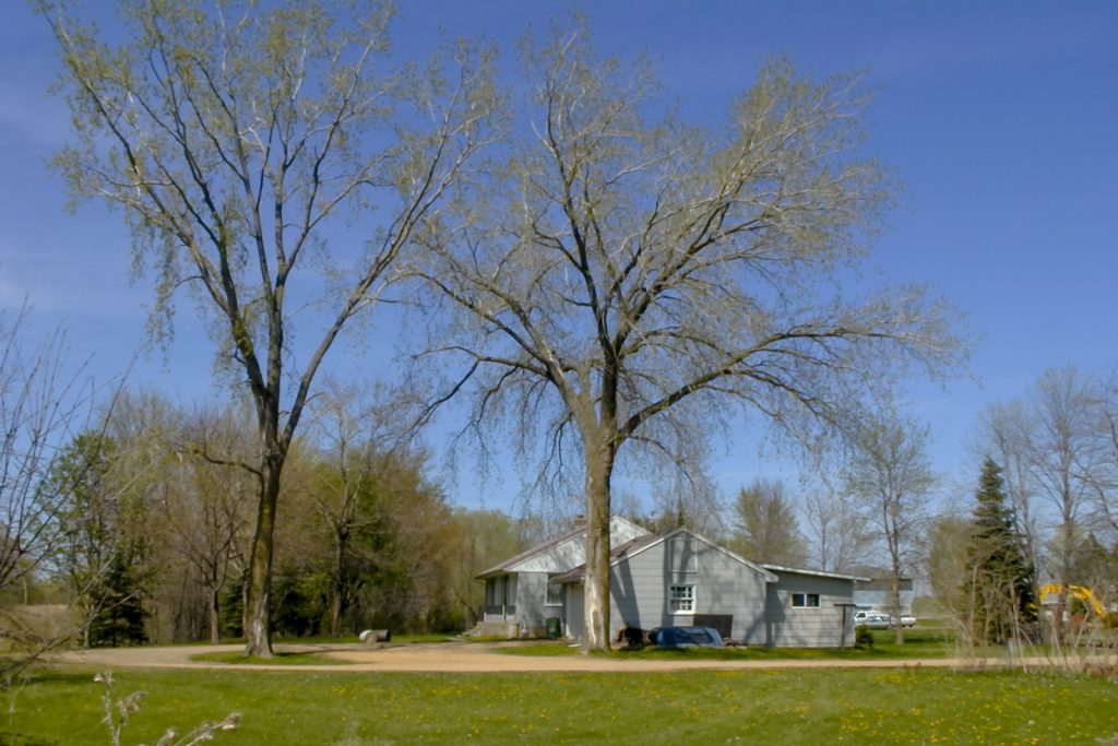 Photo by Rick Pepper - Mankato, MN - April 29, 2000 looking north from what is now roughly the southbound lane of Victory Drive, Zellmer's/Olson's house. Note the two Cottonwood trees as they'll be a landmark in the final installment of this series.