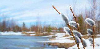 Spring thaw - Mankato, MN