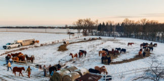 Photo by Rick Pepper - The Horses of the 2012 Dakota 38+2 riders pastured at the farm of Sylvester "Ken" Ziegler