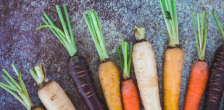 Organic Rainbow Colored Carrots