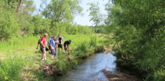 Photo courtesy MSU’s Engineering Center of Excellence - Explore Adventure STEM campers