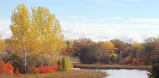 Photo by Don Lipps - Don's Pond in Ney Park, Henderson, MN