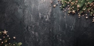 Christmas Decoration With Fir Branches and Red Berries On a Dark Background