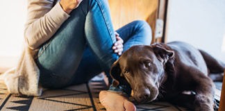 Woman and dog - Rest