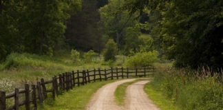 Rustic Country Road