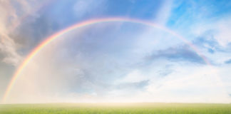 Rainbow with meadow.